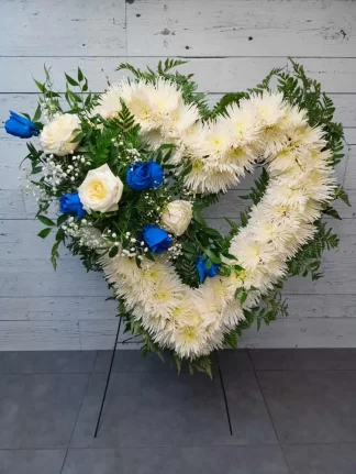 Coeur ouvert blanc avec jeté de roses bleu