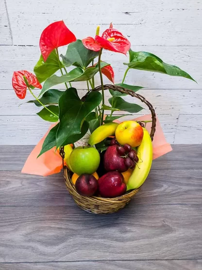 Jardin plante et fruits