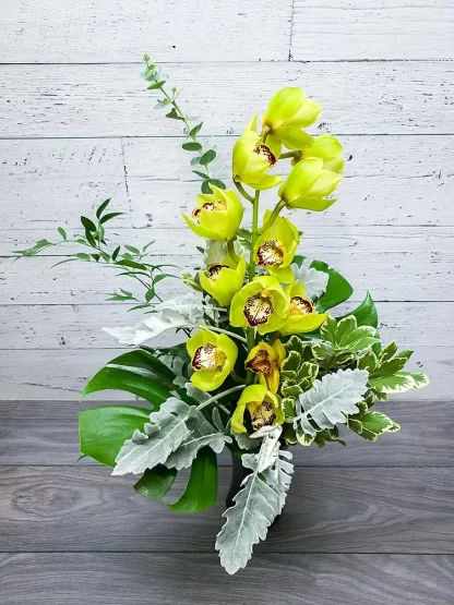 Orchidée et verdure