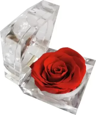 Rose éternelle en boîte