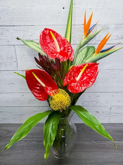 Bouquet exotique – Trio d’anthurium